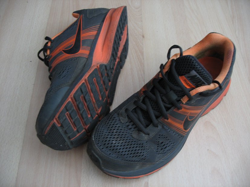 NIKE AIR PEGASUS+ 29