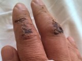 WP_20170808_15_12_43_Pro_LI.jpg