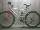 WP_20150611_001.jpg