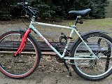 WP_20170304_08_07_35_Pro_LI.jpg